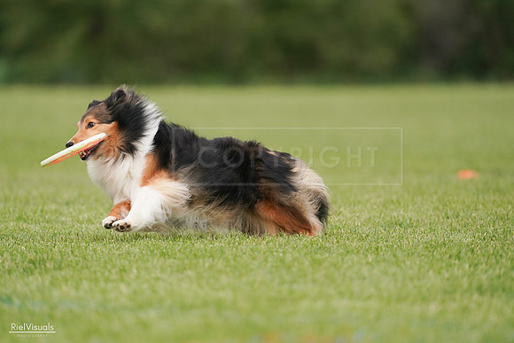 RielVisuals_20240527_140917_SJR01623