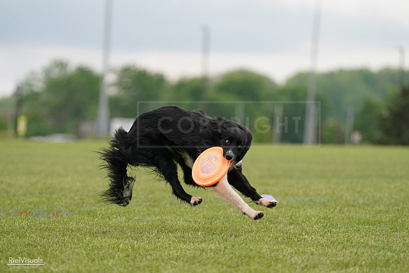 RielVisuals_20240527_131856_SJR09295