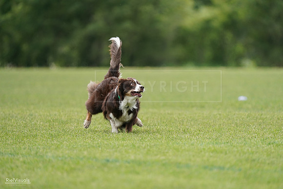 RielVisuals_20240527_135907_SJR01092