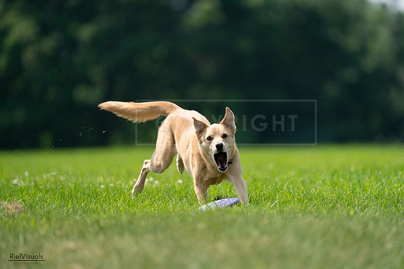 RielVisuals_20240727_120046_SJR04516