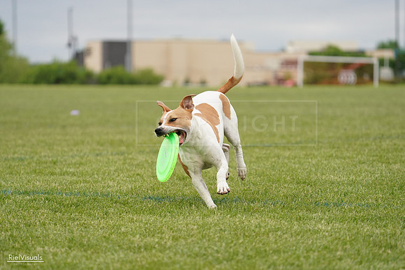 RielVisuals_20240526_134104_SJR08694