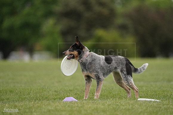 RielVisuals_20240526_132209_SJR07598