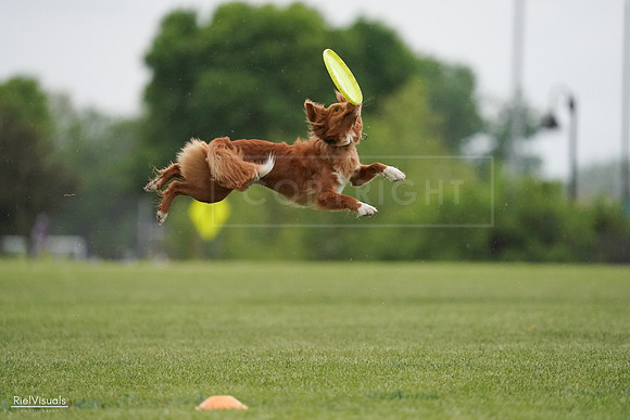 RielVisuals_20240526_093131_SJR00288
