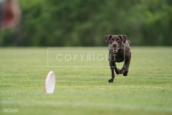 RielVisuals_20240525_162802_SJR04530
