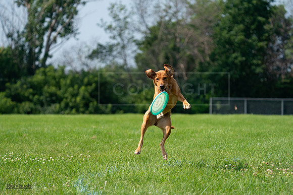 RielVisuals_20240728_103942_SJR08780