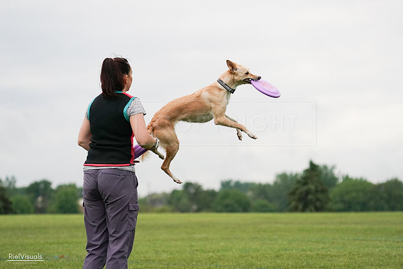 RielVisuals_20240527_110749_SJR03106
