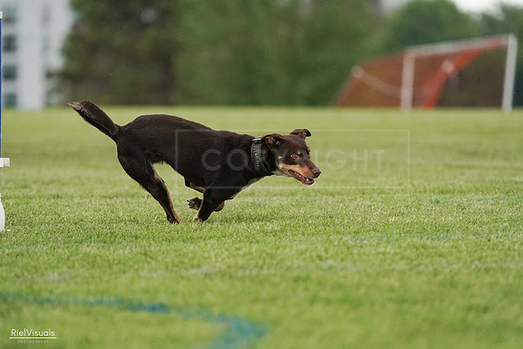 RielVisuals_20240526_095737_SJR01503