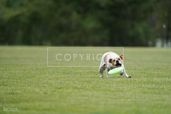 RielVisuals_20240525_161550_SJR03900