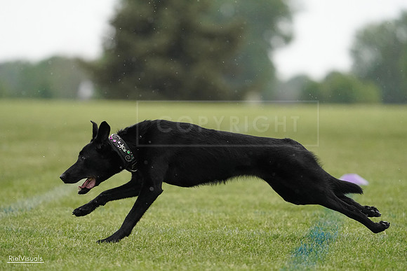RielVisuals_20240526_092335_SJR09900