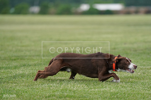 RielVisuals_20240525_162516_SJR04366