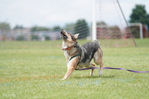 RielVisuals_20240527_141711_SJR02260
