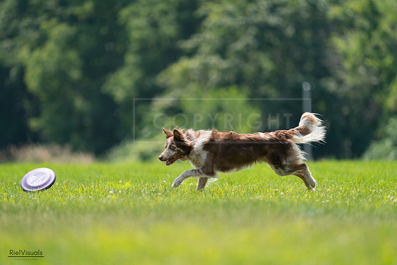 RielVisuals_20240727_131200_SJR07135