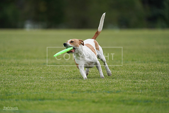 RielVisuals_20240525_161551_SJR03918