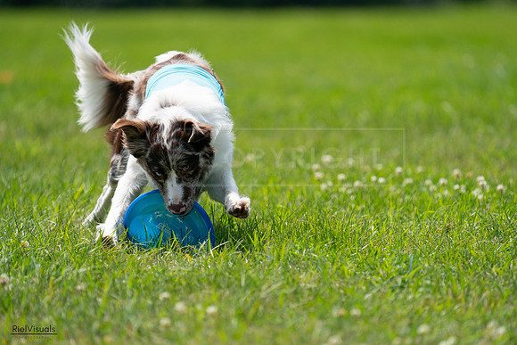 RielVisuals_20240728_131109_SJR05316