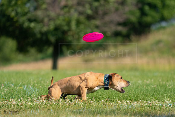 RielVisuals_20240727_093059_SJR06602