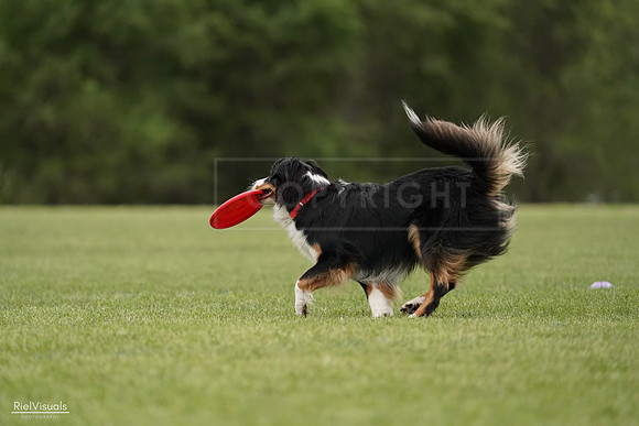 RielVisuals_20240526_131705_SJR07366