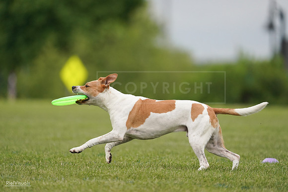RielVisuals_20240526_134010_SJR08557