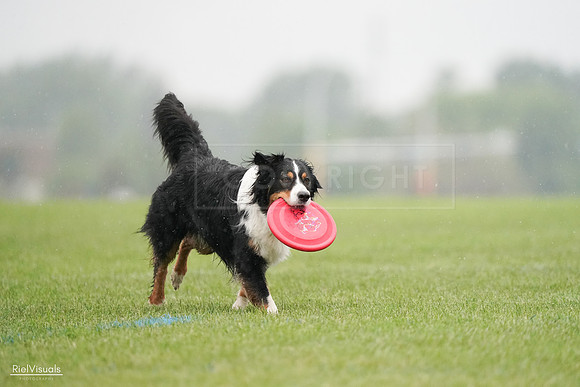 RielVisuals_20240527_104827_SJR01775