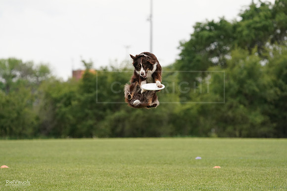 RielVisuals_20240527_132334_SJR09562