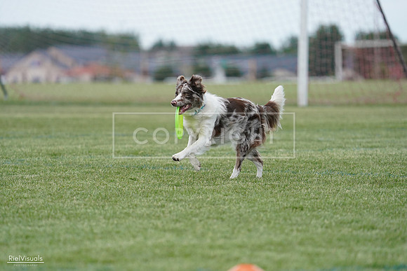 RielVisuals_20240525_135141_SJR09740