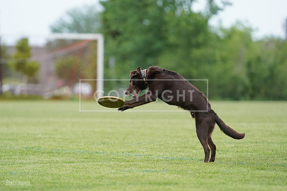 RielVisuals_20240525_162130_SJR04254