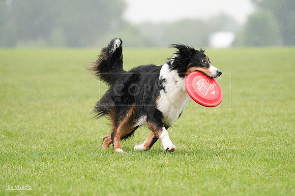 RielVisuals_20240527_104718_SJR01672