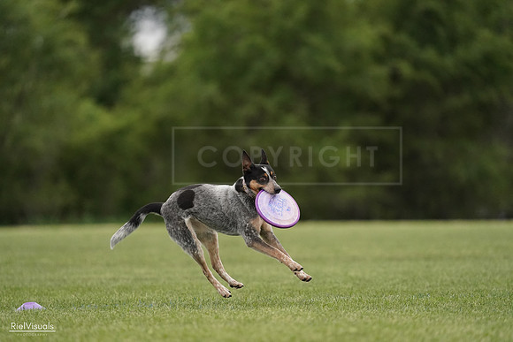RielVisuals_20240526_132150_SJR07573
