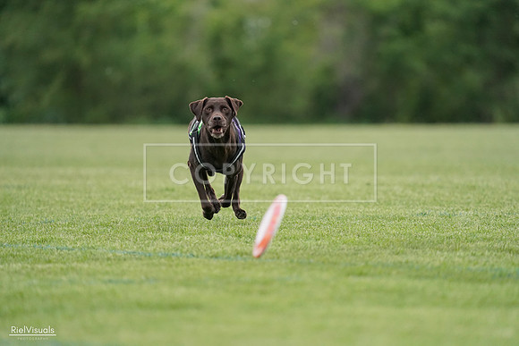 RielVisuals_20240525_162654_SJR04470