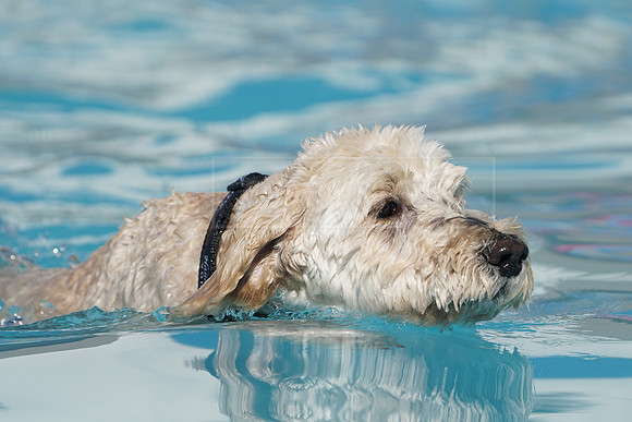 DSC06308