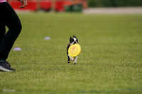 RielVisuals_20240527_142657_SJR02837