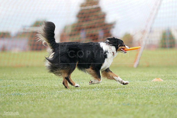 RielVisuals_20240527_142357_SJR02593