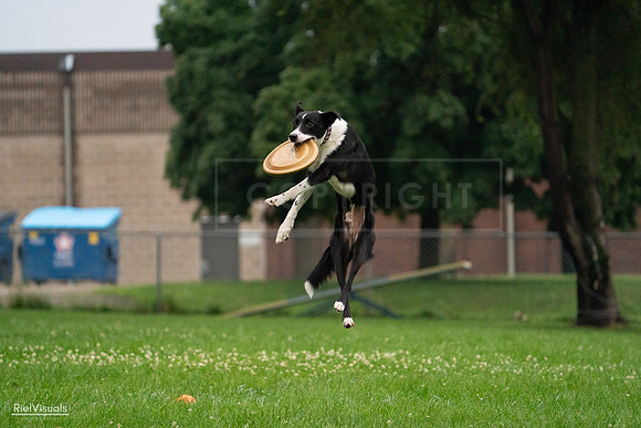 RielVisuals_20240722_193453_SJR01477