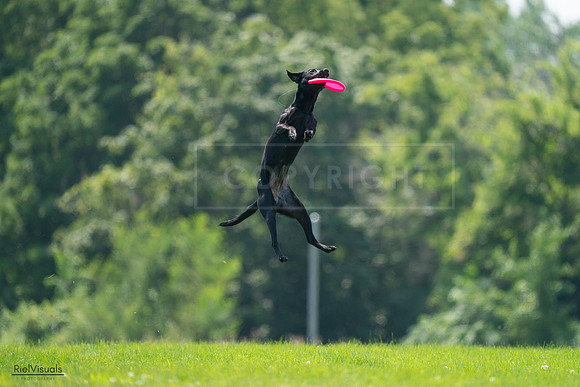RielVisuals_20240727_131007_SJR07026