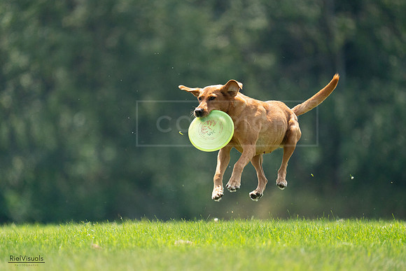 RielVisuals_20240727_122411_SJR05457