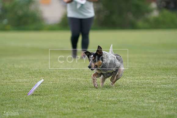 RielVisuals_20240525_164141_SJR05181