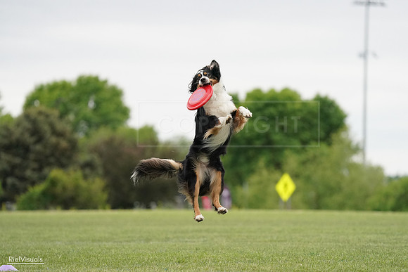 RielVisuals_20240526_131718_SJR07387
