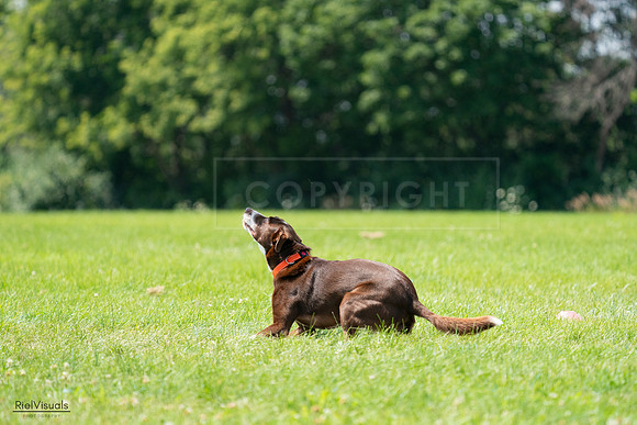 RielVisuals_20240728_123427_SJR04297