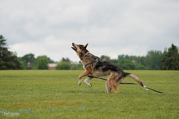 RielVisuals_20240527_133412_SJR00279