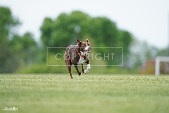 RielVisuals_20240525_162545_SJR04404
