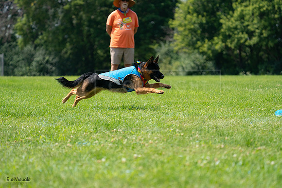 RielVisuals_20240728_122958_SJR04043