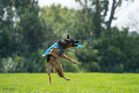 RielVisuals_20240728_135128_SJR07271