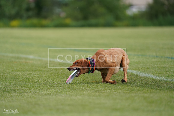 RielVisuals_20240525_160839_SJR03570