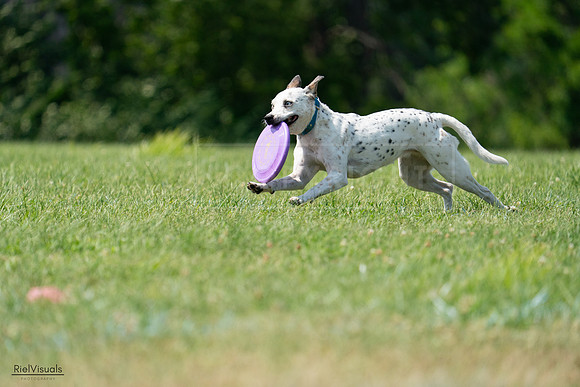 RielVisuals_20240728_144248_SJR08980