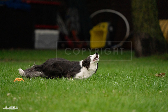 RielVisuals_20240722_192650_SJR00957
