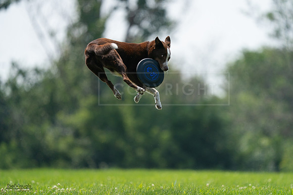RielVisuals_20240727_131349_SJR07261