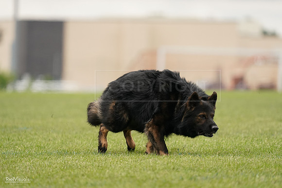 RielVisuals_20240527_132927_SJR09983