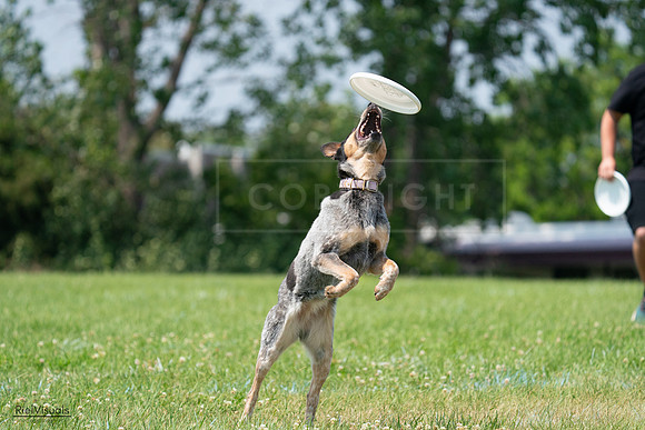 RielVisuals_20240727_133956_SJR07988