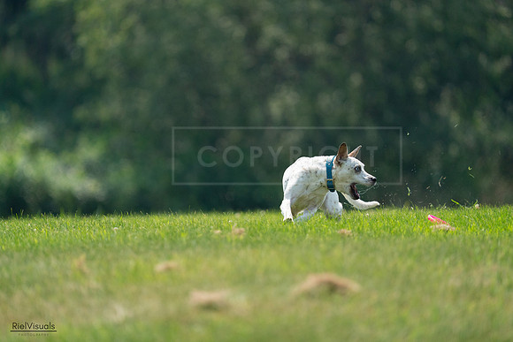 RielVisuals_20240727_120930_SJR04846