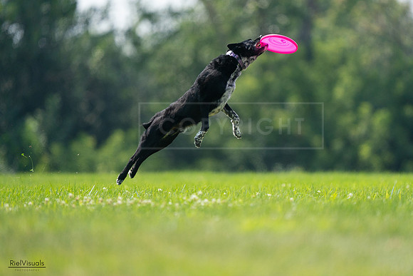 RielVisuals_20240727_125912_SJR06460