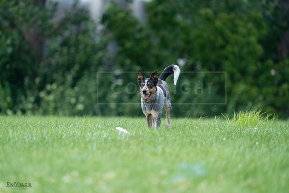 RielVisuals_20240727_133934_SJR07941